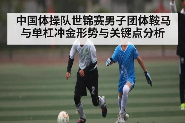 中国体操队世锦赛男子团体鞍马与单杠冲金形势与关键点分析（jiuyou）